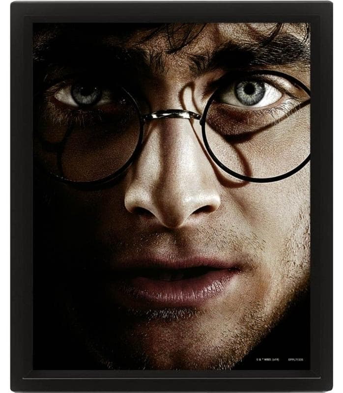 Harry Potter – Harry gegen Voldemort – 3D-Linsenposter 26 x 20 cm